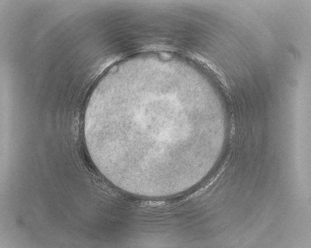 X0000115581313200912221041