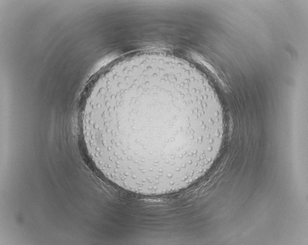 X0000115581315200912221041