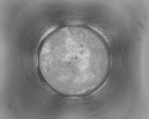 X0000115581317200912221041