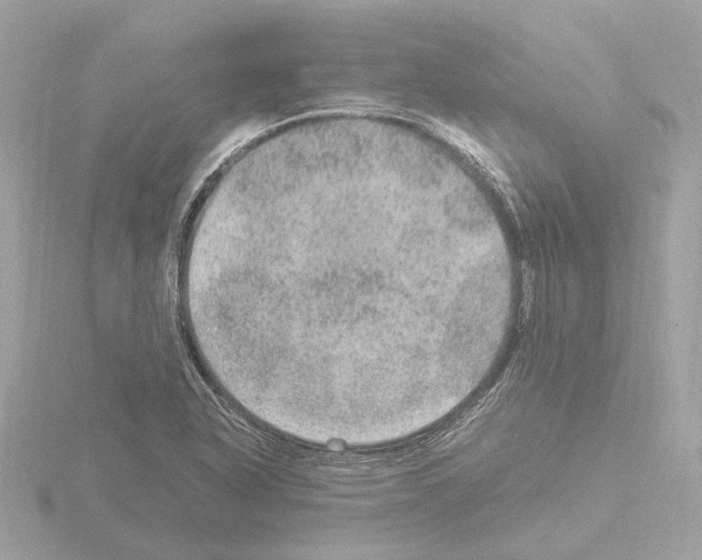 X0000115581318200912221041