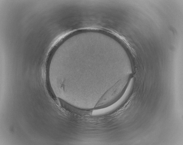 X0000115581319200912221041