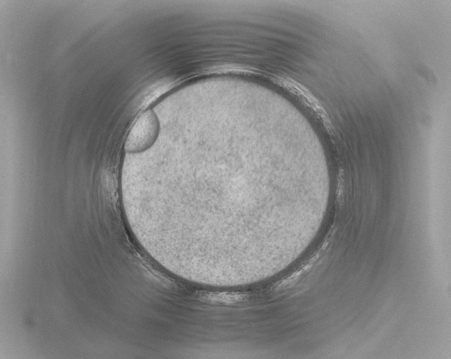 X0000115581321200912221041