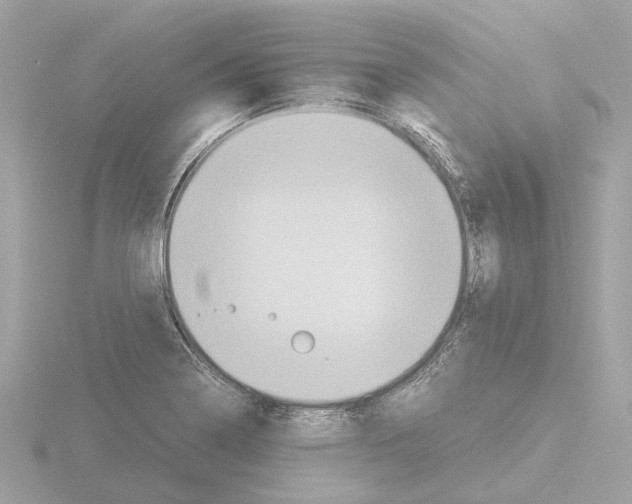 X0000115581322200912221041