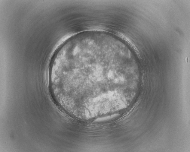 X0000115581323200912221041