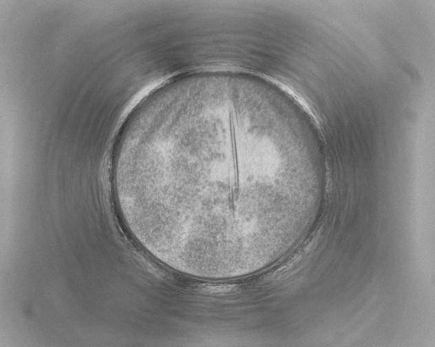 X0000115581325200912221041