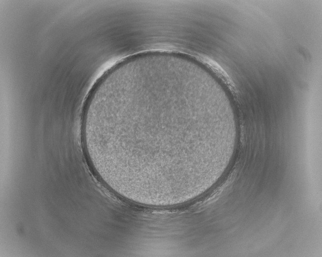 X0000115581326200912221041