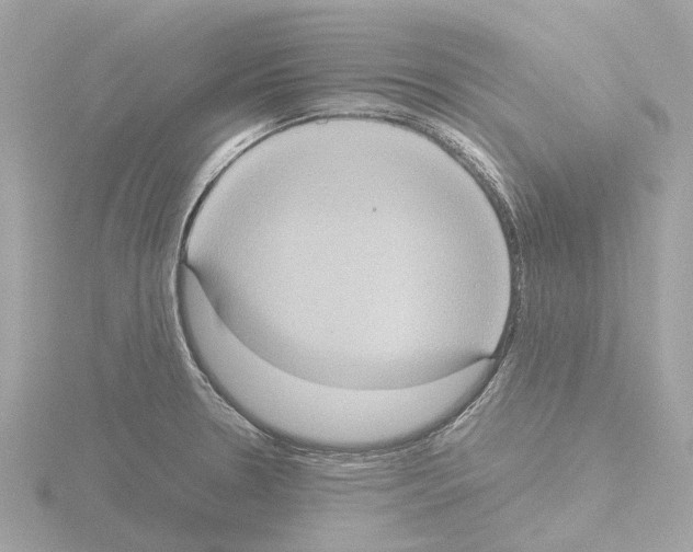 X0000115581330200912221041