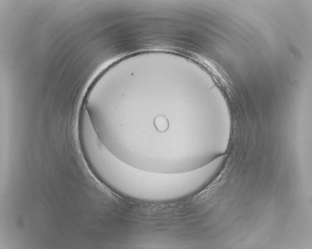 X0000115581331200912221041