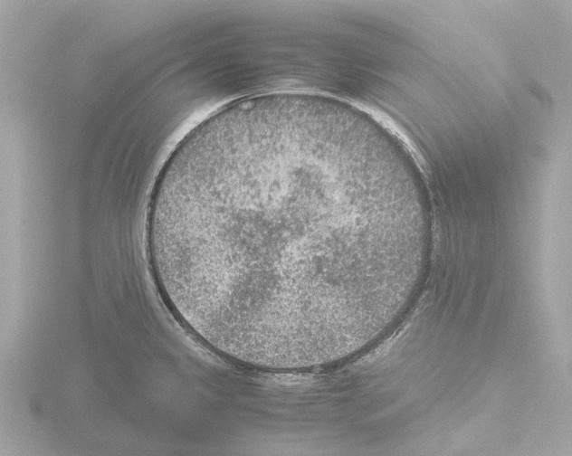 X0000115581333200912221041