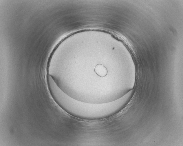 X0000115581334200912221041