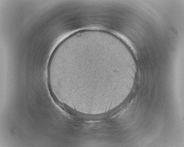 X0000115581335200912221041