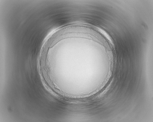 X0000115581338200912221041