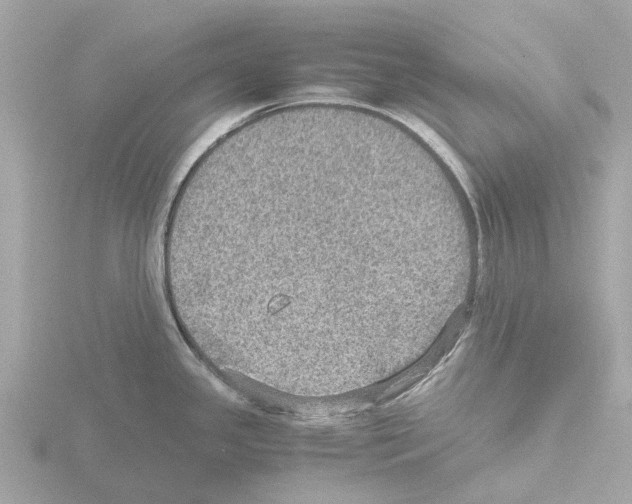 X0000115581341200912221041