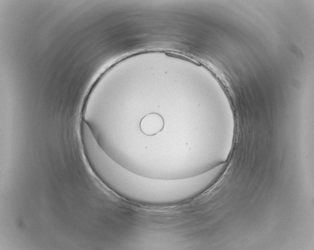 X0000115581342200912221041