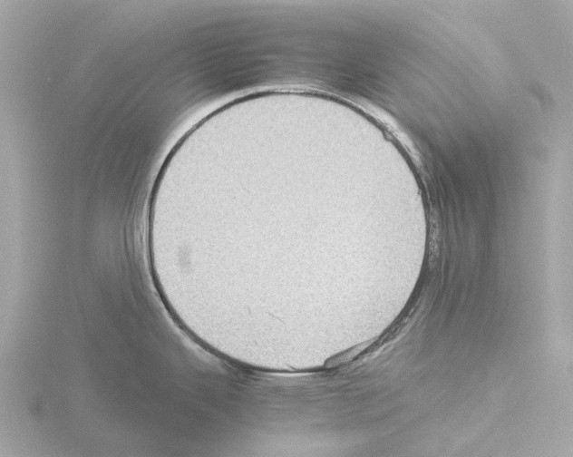 X0000115581343200912221041