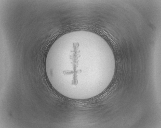 X0000115581345200912221041