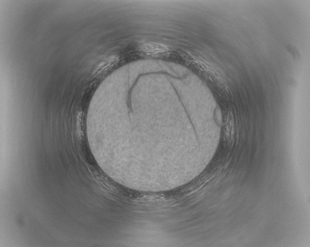 X0000115581346200912221041