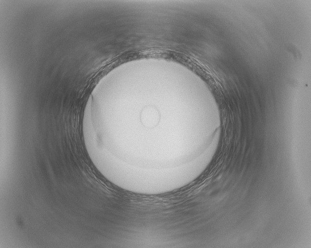 X0000115581348200912221041