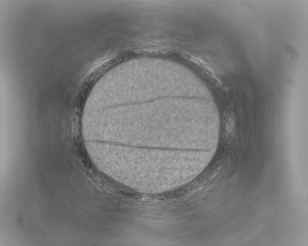 X0000115581350200912221041