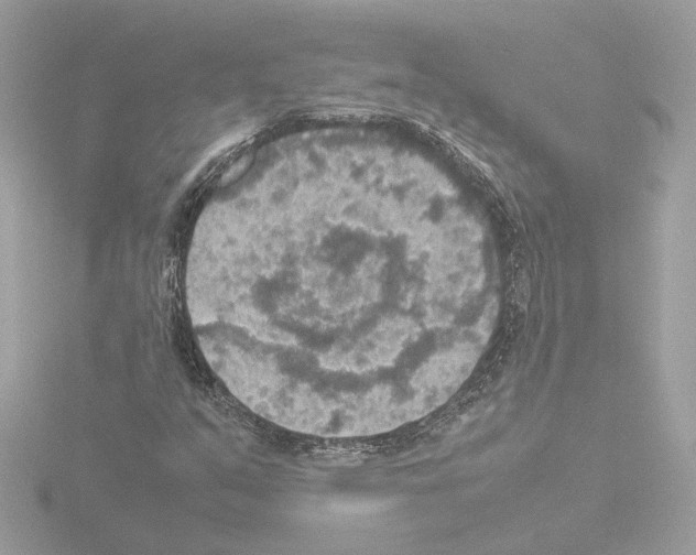 X0000115581351200912221041