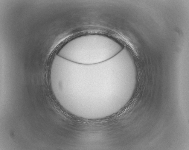 X0000115581352200912221041