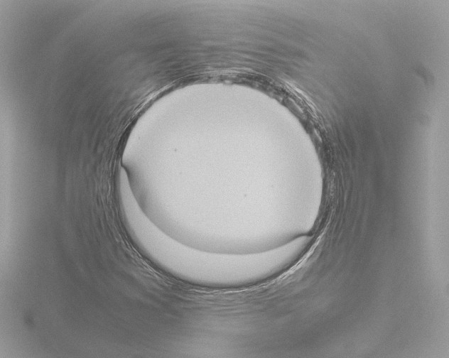 X0000115581353200912221041