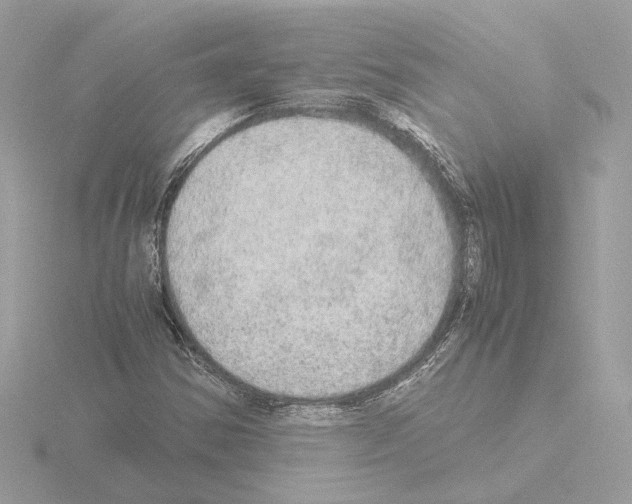 X0000115581354200912221041