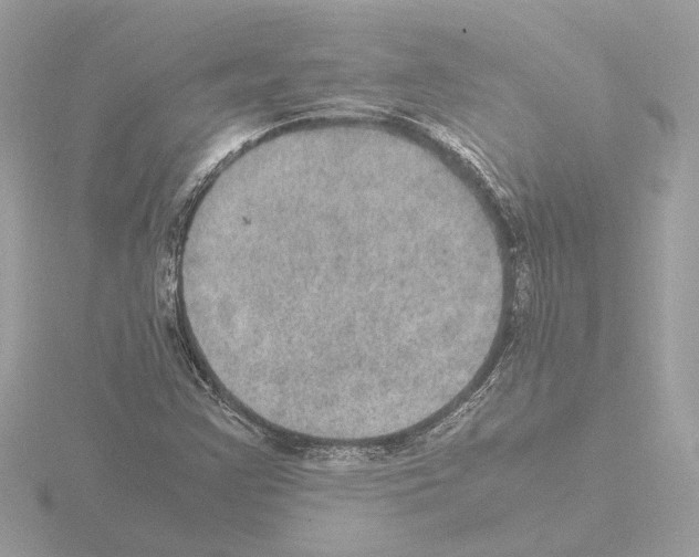 X0000115581355200912221041