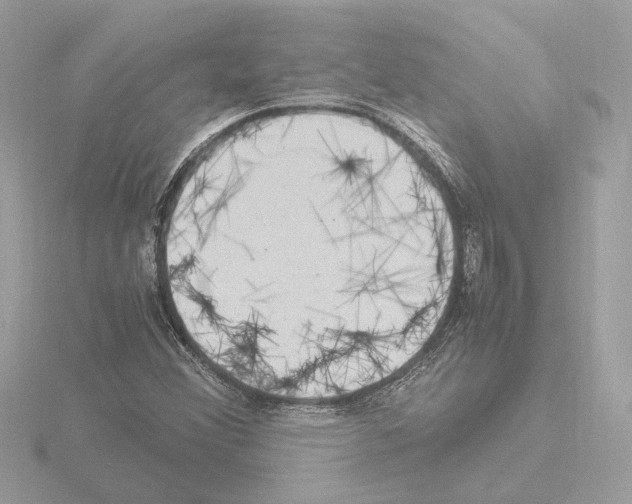 X0000115581356200912221041