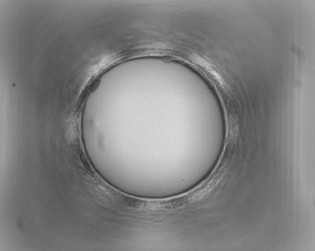 X0000115581357200912221041