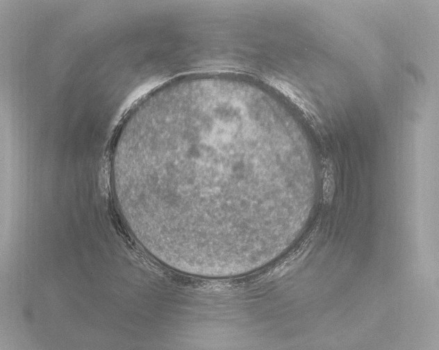 X0000115581358200912221041