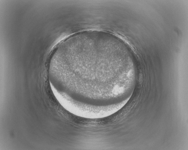 X0000115581359200912221041