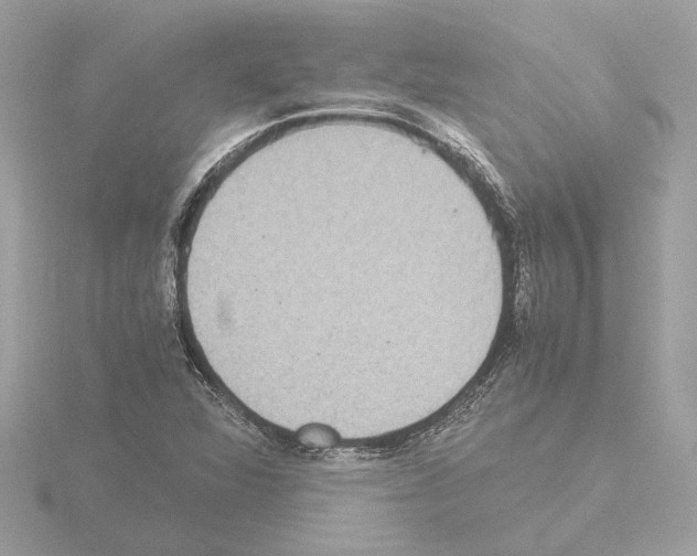 X0000115581360200912221041