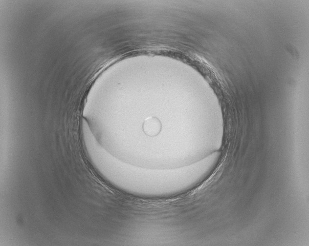 X0000115581361200912221041