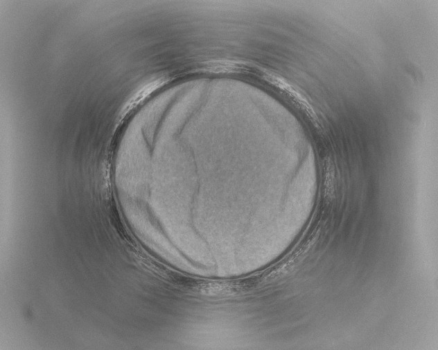 X0000115581362200912221041