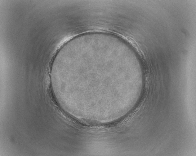 X0000115581363200912221041