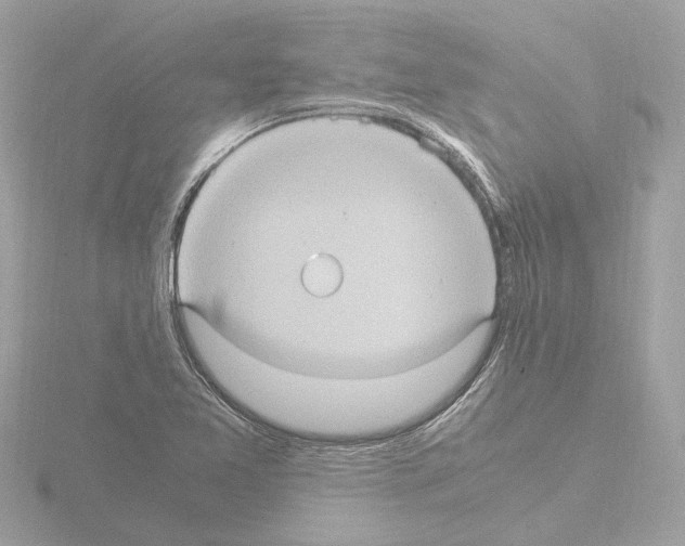 X0000115581365200912221041