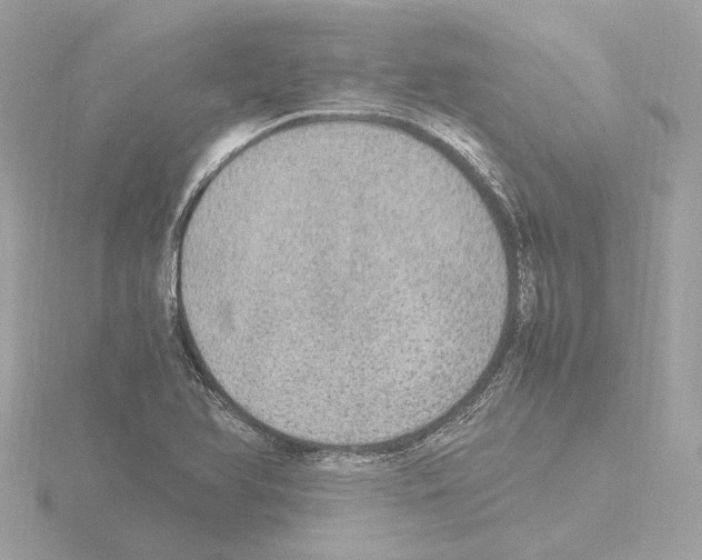 X0000115581366200912221041