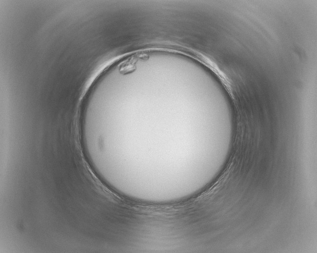 X0000115581368200912221040