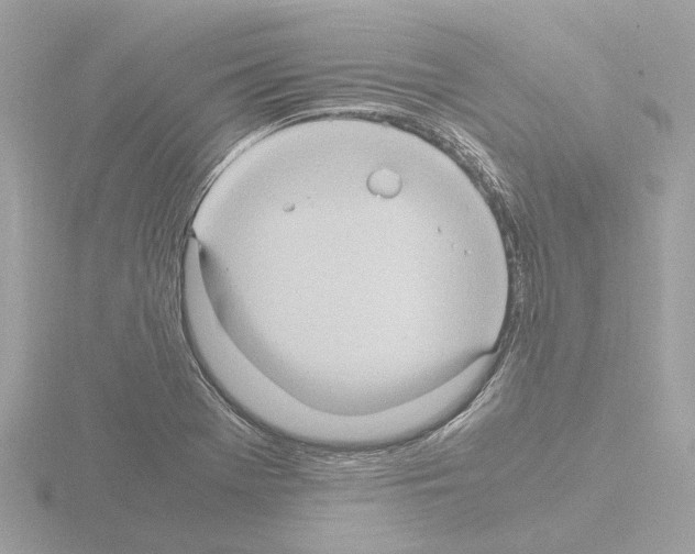 X0000115581369200912221040