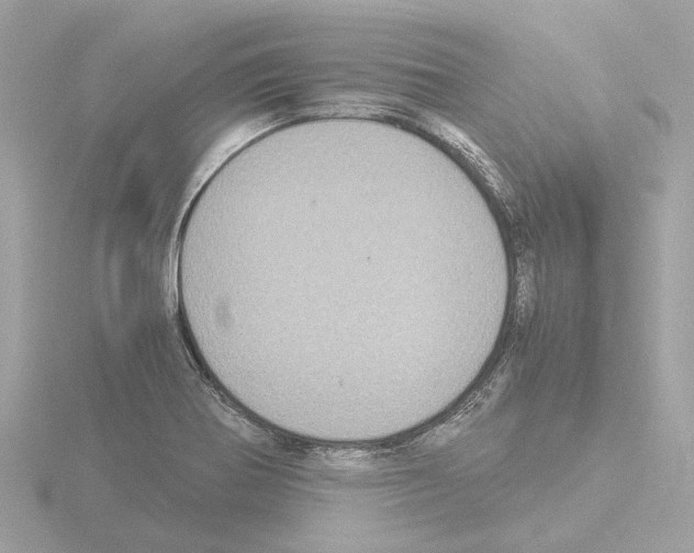 X0000115581370200912221040