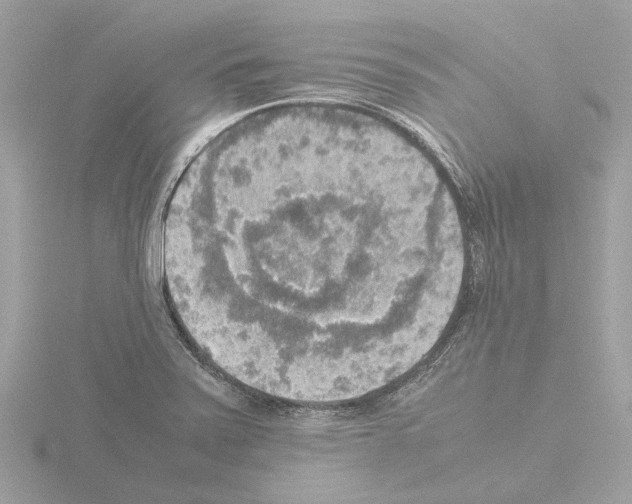 X0000115581371200912221040