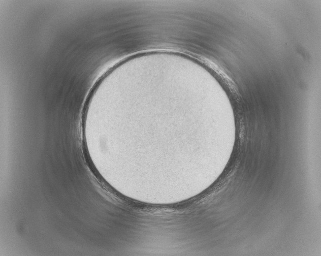 X0000115581372200912221040