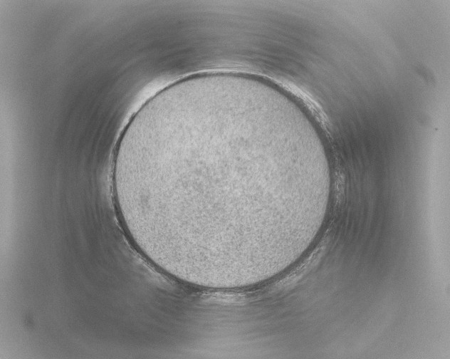 X0000115581374200912221040