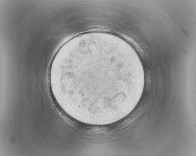 X0000115581375200912221040