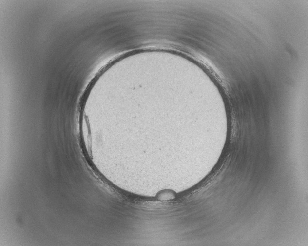 X0000115581376200912221040