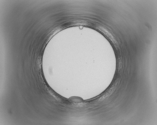 X0000115581377200912221040