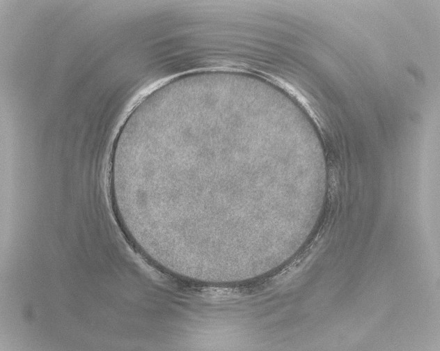 X0000115581379200912221040