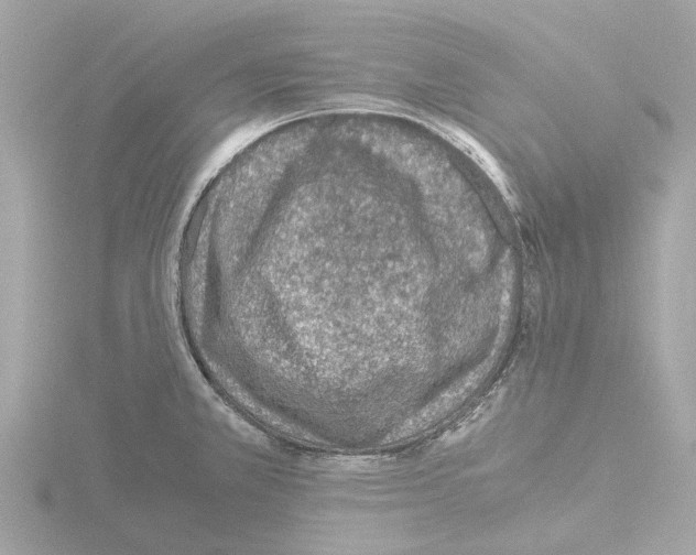 X0000115581381200912221040