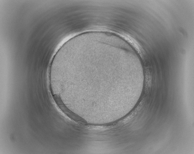 X0000115581382200912221040